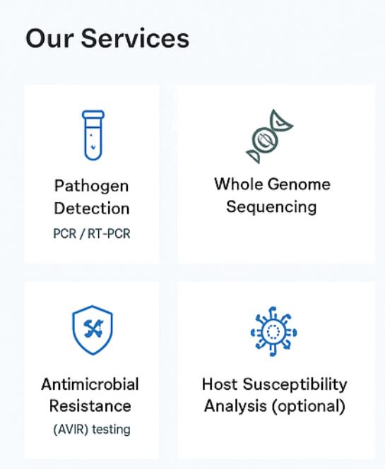 OurServices